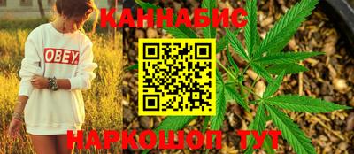 гашик Тулун