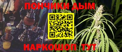 гашик Тулун
